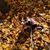 Wendy Mcmurtrie Keefer's profile image