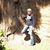 Susan Brown's profile image