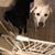 Pamela Fredrick Truxillo's profile image