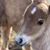 Teresa Newman's profile image