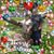 Robin Durr Cassanio's profile image