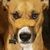 Susan Bridget's profile image