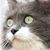 Lore Ainley Sigrist's profile image