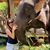 Jen Lee Gutierrez's profile image