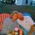 Denise Bonter's profile image