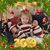 Judy Goetz Patti's profile image