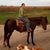 Sheila Fowler Spencer's profile image