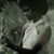 Sharita Rouse's profile image