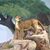 Tresa Parkman's profile image