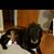 Laurie Dailey's profile image