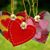 Kimberly Brannon's profile image