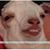 Matt Nastario's profile image
