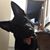 Michelle Franchic-Stohon's profile image