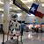 Astronaut Cow's profile image