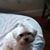 Beverley Liles's profile image