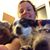Calie Pfaff's profile image