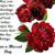 Nancy Stamper's profile image