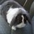 Carlette McCall's profile image
