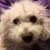 Lindsay Montgomery's profile image