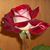 Rose Piper's profile image