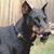 Mary Mleczko's profile image