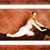 Andrew Gray's profile image