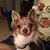 Janice Berebitsky's profile image