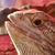 Jeff Donaldson's profile image