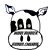 Matthew Malicki's profile image