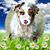 Kelly Kuefler Prestegaard's profile image