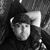 John Ortiz's profile image