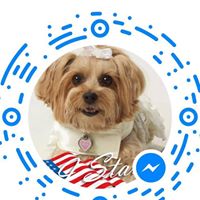 Dorina Gasperoni Aldo's profile image