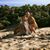 Amanda VanHorn's profile image