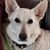 Jean Harned Boyle's profile image