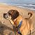 Melissa Schwarz's profile image