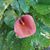 Karen Barhorst Winn's profile image