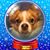 Jim Wallace's profile image