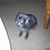 Rikki Johnson's profile image