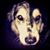 Erin Mead's profile image