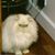 Judi Peck-Carroll's profile image
