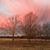 Pam Hackett Alford's profile image