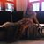 Jesa Apole's profile image