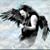 Donnie Noe's profile image