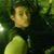 Hippolytus Eponk Onyet's profile image