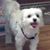Dennis Greenlee's profile image