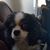 Jennifer Lynn Moir's profile image