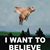 LeaLea McSchwein's profile image