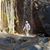 Shane Wurfel's profile image