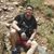 Giancarlo Rodriguez's profile image