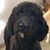 Mona Rindfleisch's profile image